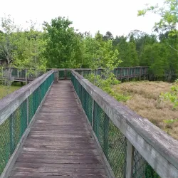 Lake Howard Park - Winter Haven