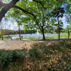 Lake Lily Park - Winter Haven