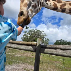 Giraffe Ranch - Zephyrhills