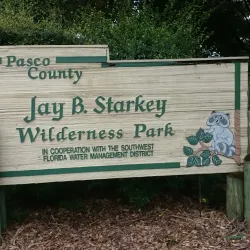 Jay B. Starkey Wilderness Park - Zephyrhills