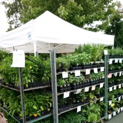 Acworth Farmers Market - Acworth