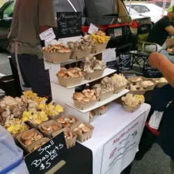 Acworth Farmers Market - Acworth