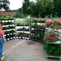 Acworth Farmers Market - Acworth