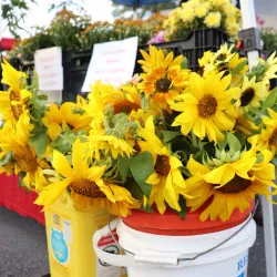 Acworth Farmers Market - Acworth