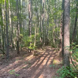 Allatoona Creek Park - Acworth