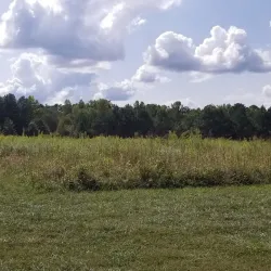 Allatoona Creek Park - Acworth