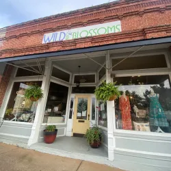 Historic Downtown Acworth - Acworth