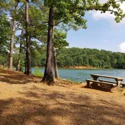 Red Top Mountain State Park - Acworth