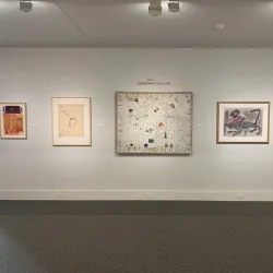 Albany Museum of Art - Albany