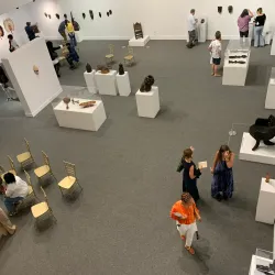 Albany Museum of Art - Albany