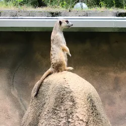 Chehaw Park & Zoo - Albany