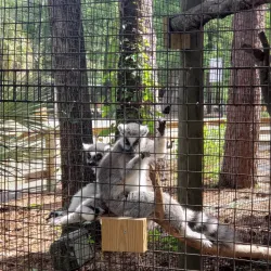 Chehaw Park & Zoo - Albany