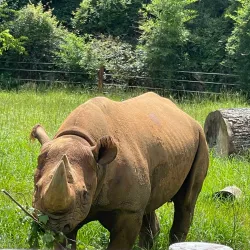 Chehaw Park & Zoo - Albany