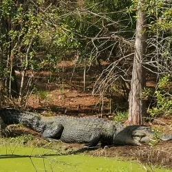 Chehaw Park & Zoo - Albany