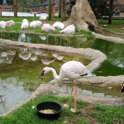 Chehaw Park & Zoo - Albany