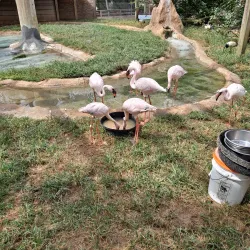 Chehaw Park Golf Course - Albany