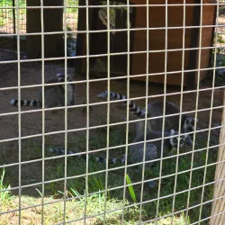 Chehaw Park Golf Course - Albany