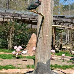 Chehaw Park Golf Course - Albany