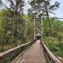 Chehaw Park Trails - Albany