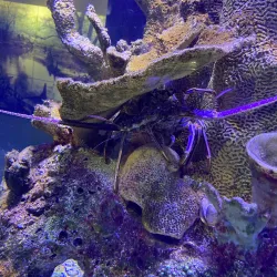 Flint RiverQuarium - Albany