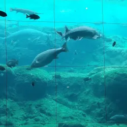 Flint RiverQuarium - Albany