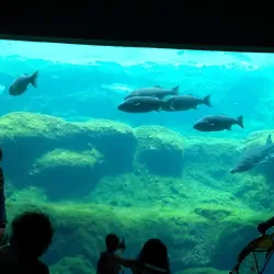 Flint RiverQuarium - Albany