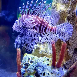 Flint RiverQuarium - Albany