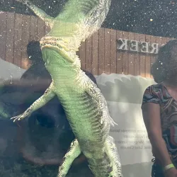 Flint RiverQuarium - Albany