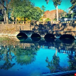 Radium Springs Gardens - Albany