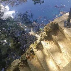 Radium Springs Gardens - Albany