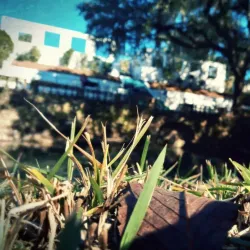 Radium Springs Gardens - Albany