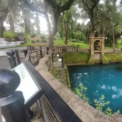 Radium Springs Gardens - Albany