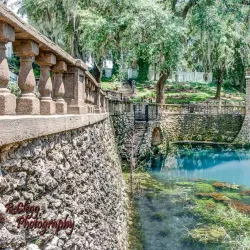 Radium Springs Gardens - Albany