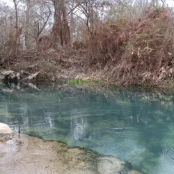 Radium Springs Gardens - Albany