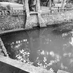 Radium Springs Gardens - Albany