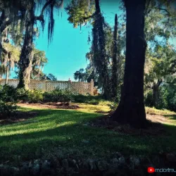 Radium Springs Gardens - Albany