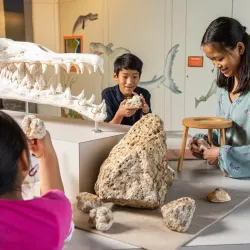 Thronateeska Railroad Depot - Albany