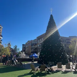 Alpharetta Farmers Market - Alpharetta