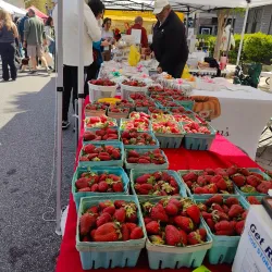 Alpharetta Farmers Market - Alpharetta