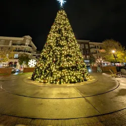 Alpharetta Farmers Market - Alpharetta