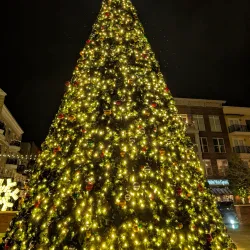 Alpharetta Farmers Market - Alpharetta
