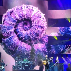 Ameris Bank Amphitheatre - Alpharetta