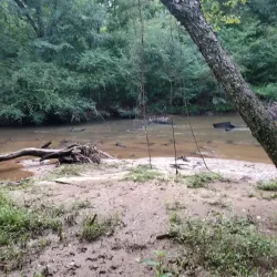 Big Creek Greenway - Alpharetta