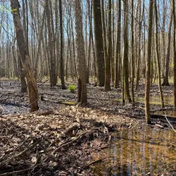 Big Creek Greenway - Alpharetta