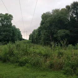 Big Creek Greenway - Alpharetta