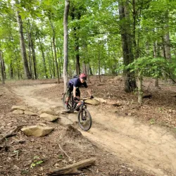 Big Creek Park - Alpharetta