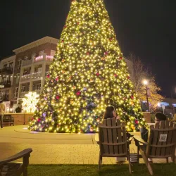 Downtown Alpharetta - Alpharetta