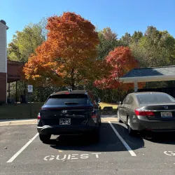 Downtown Alpharetta - Alpharetta