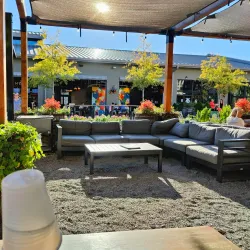 Halcyon - Alpharetta