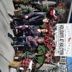 Halcyon - Alpharetta